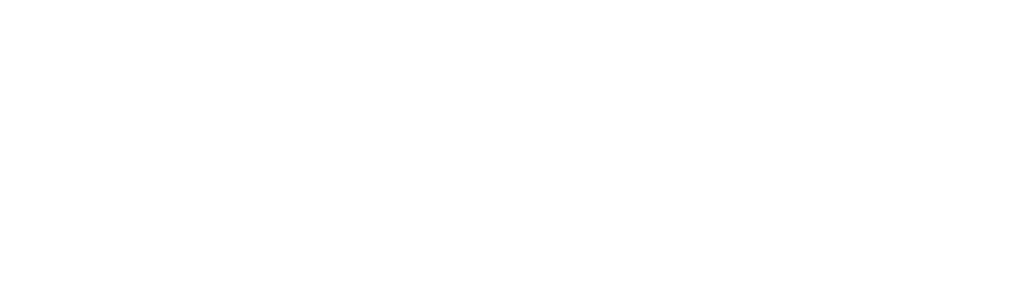 Footer Logo Image