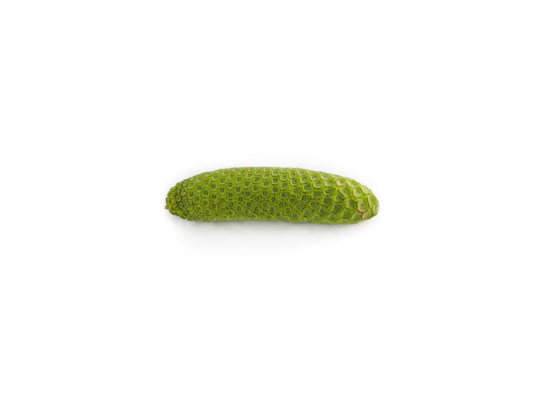 Monstera Cake