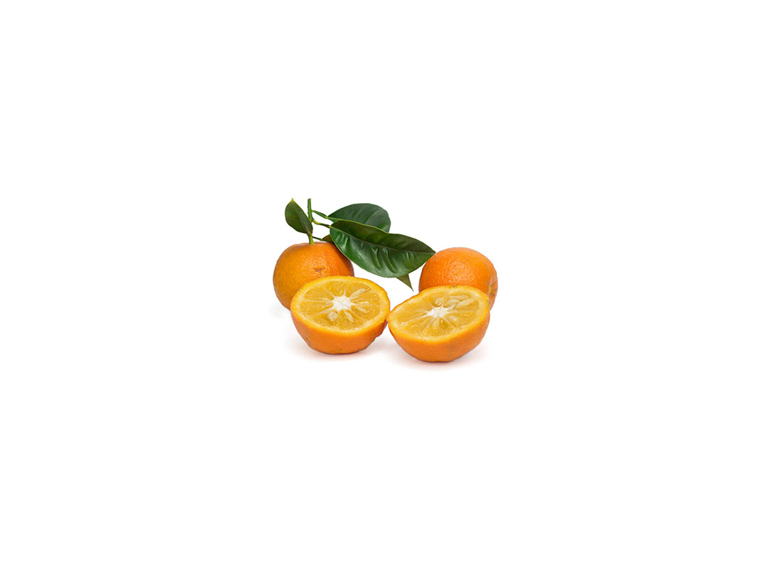 Mojito Sour Orange Marinade for Chicken