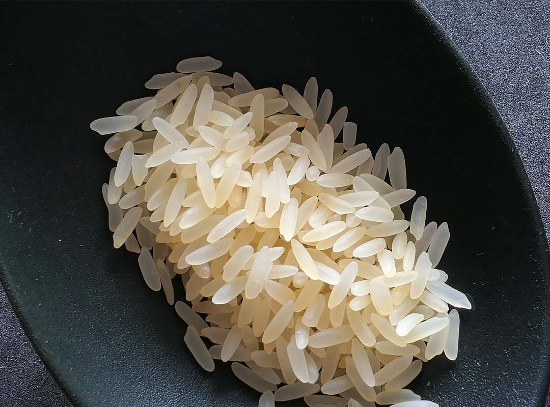 Rice Basics