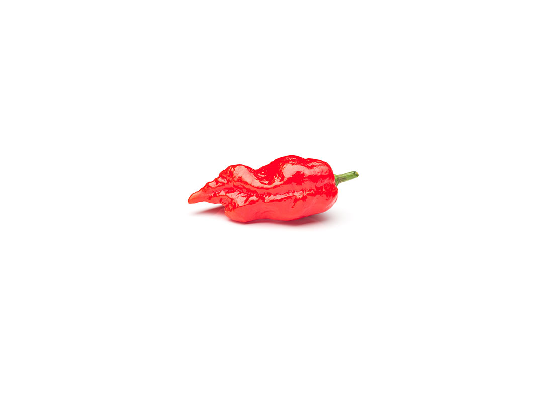 Ghost Pepper Chili Salt