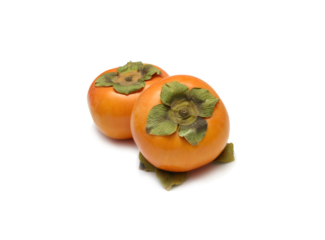 Persimmon Bread