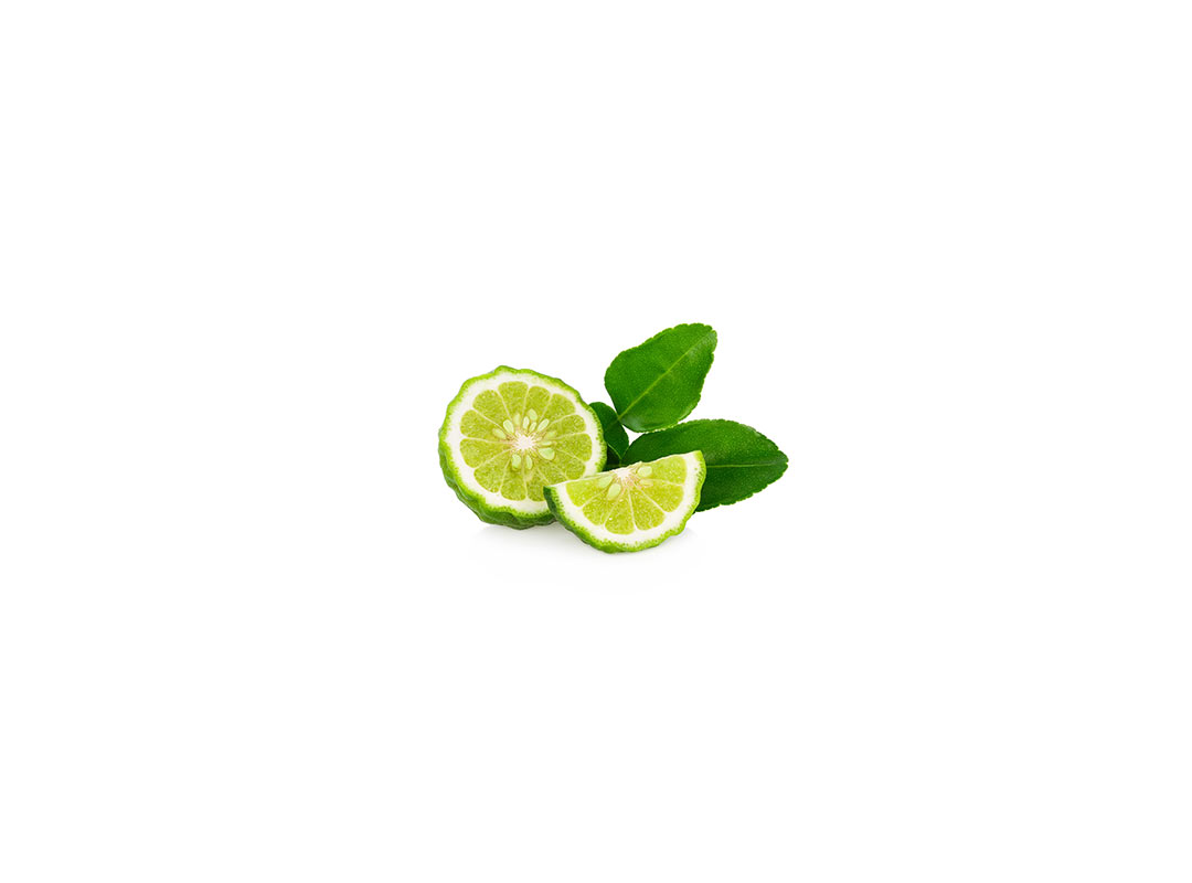 Chunky Guacamole with Kaffir Lime