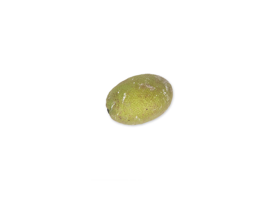 Fried Breadfruit