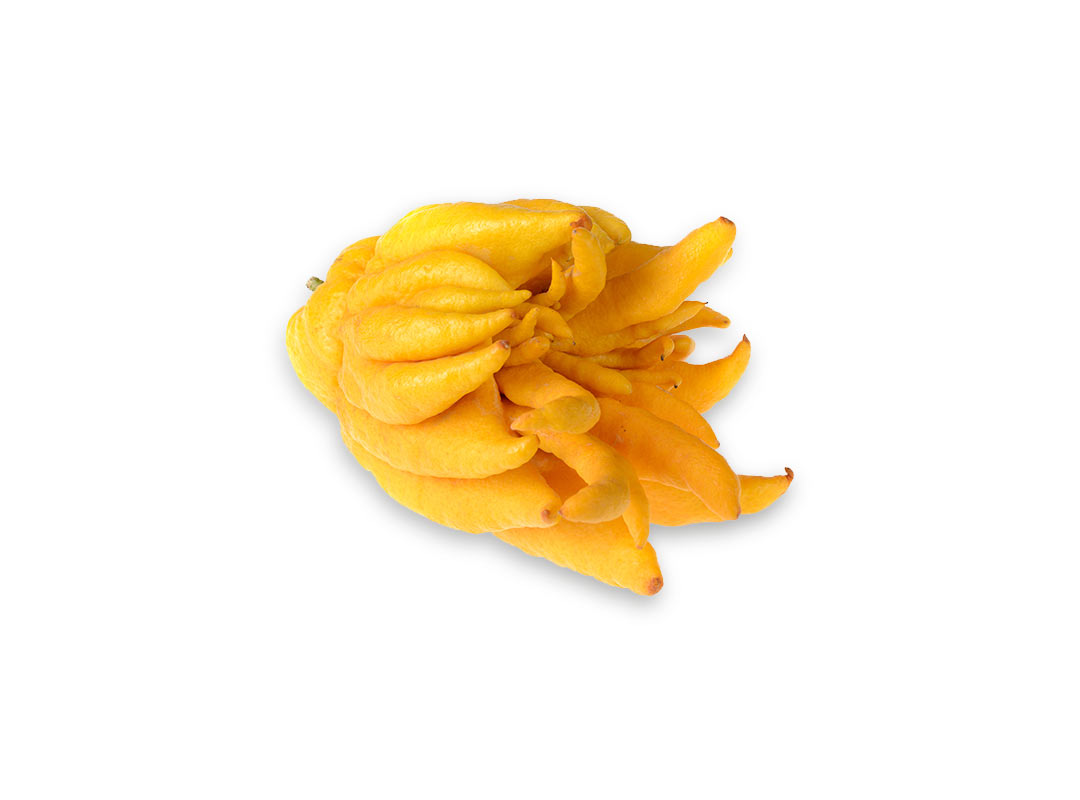 Buddha’s Hand Vinaigrette