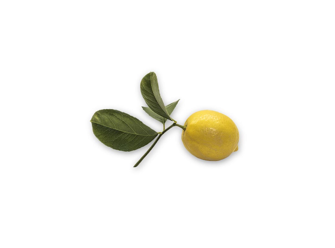 Meyer Lemon Salsa Verde