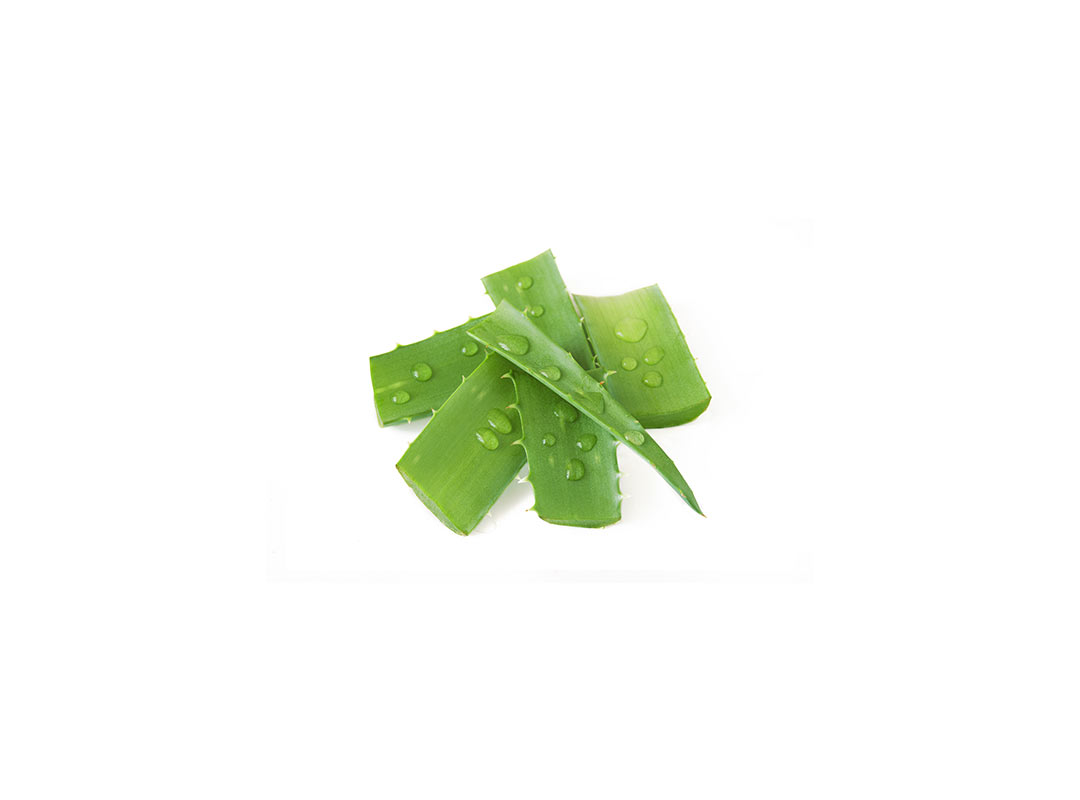 Tropical Aloe Vera Smoothie