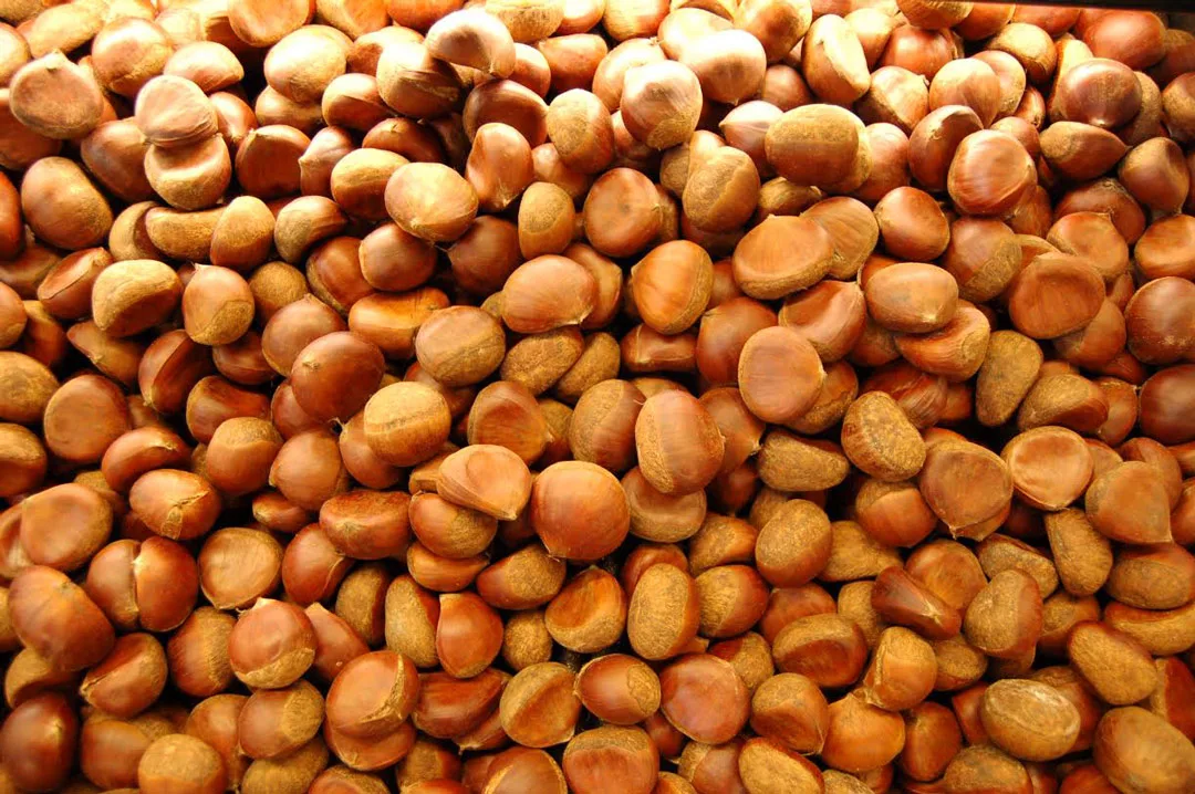 Roasted Chestnuts