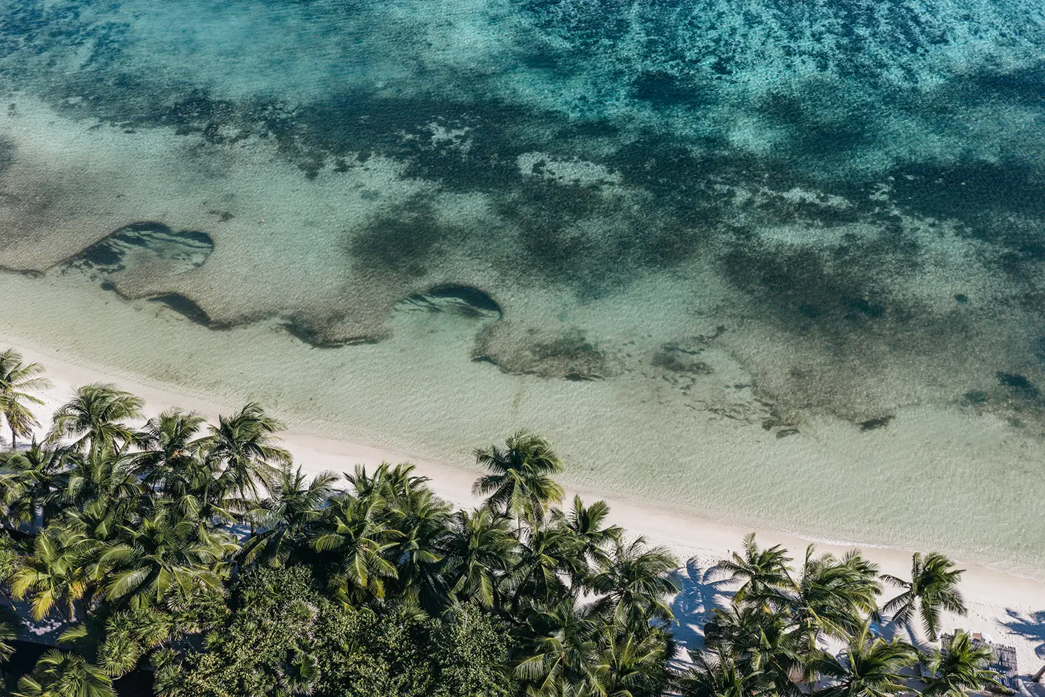 Tulum peak season beachfront villa