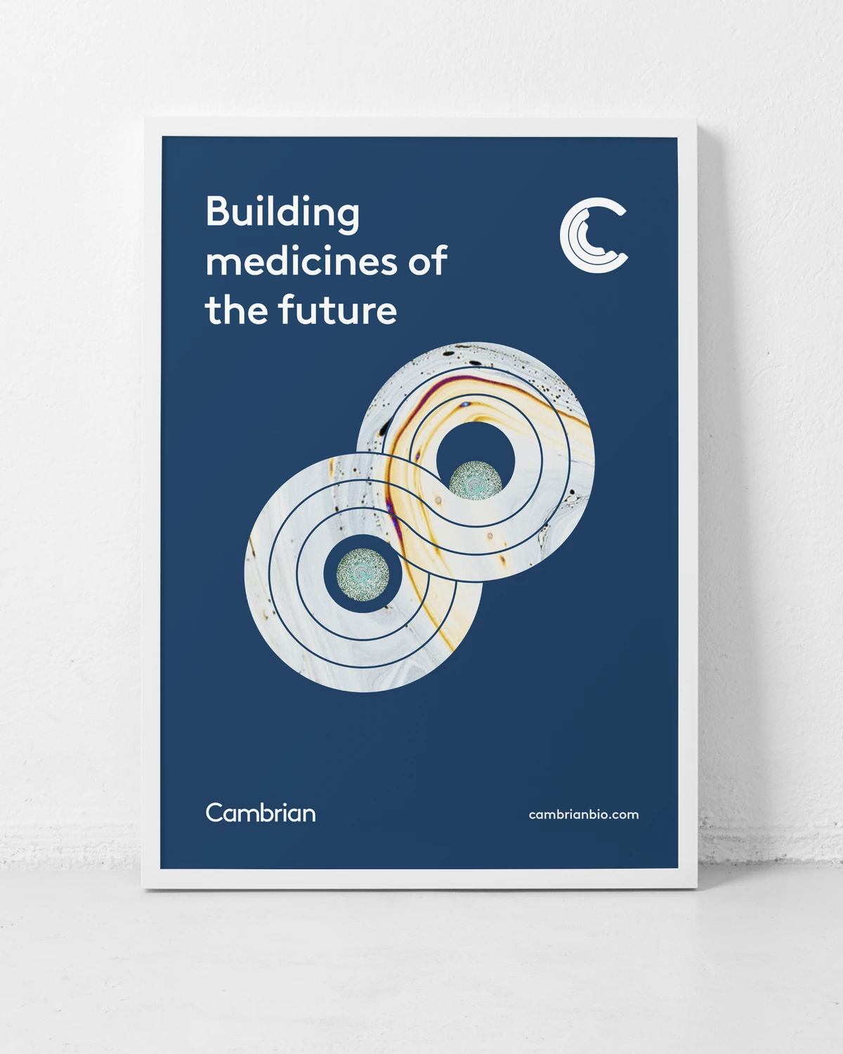 Framed Cambrian brand poster leaning against a white wall