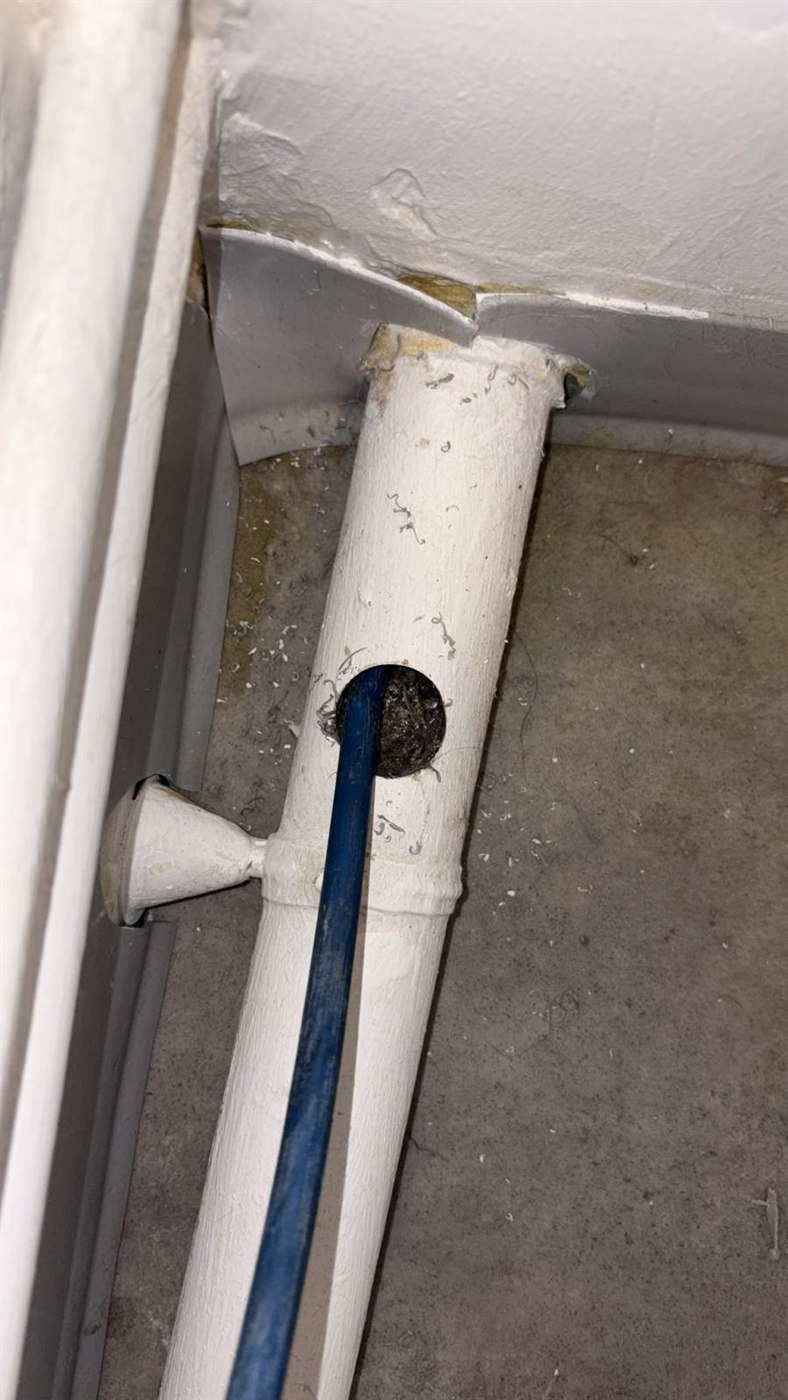 Furet introduit par le tampon de visite d’une descente d’immeuble