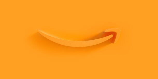 Amazon AI personalisation example, Burnham case