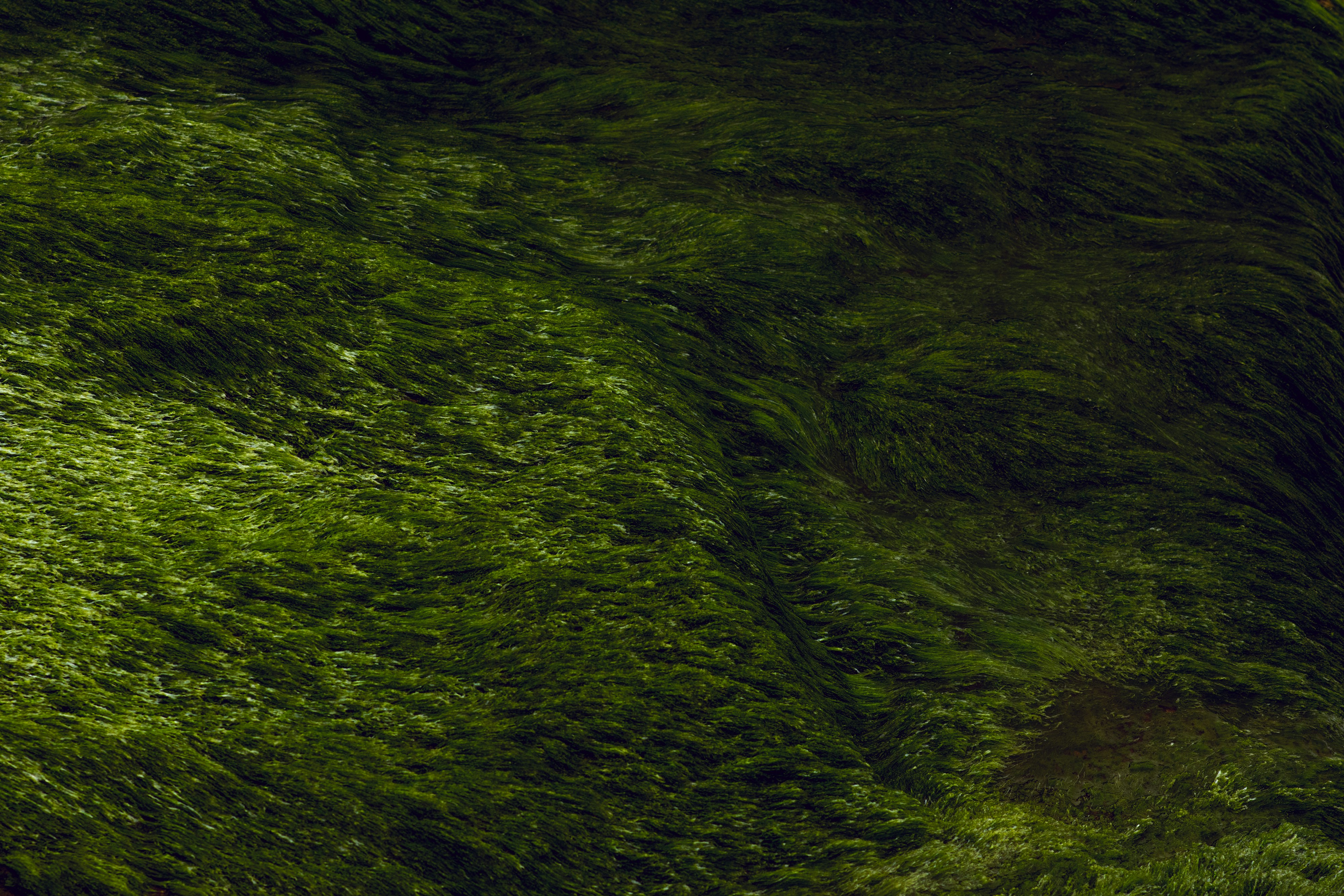Invest hero background