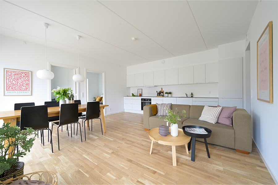 Fløjhusene II i Tingbjerg