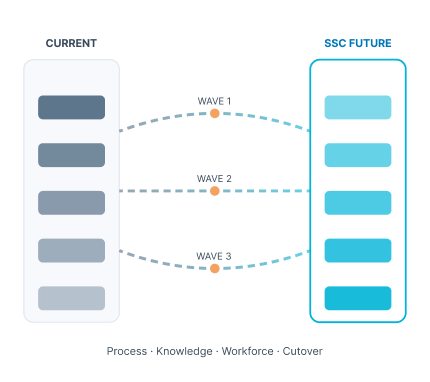 Shared Services Transition Management
