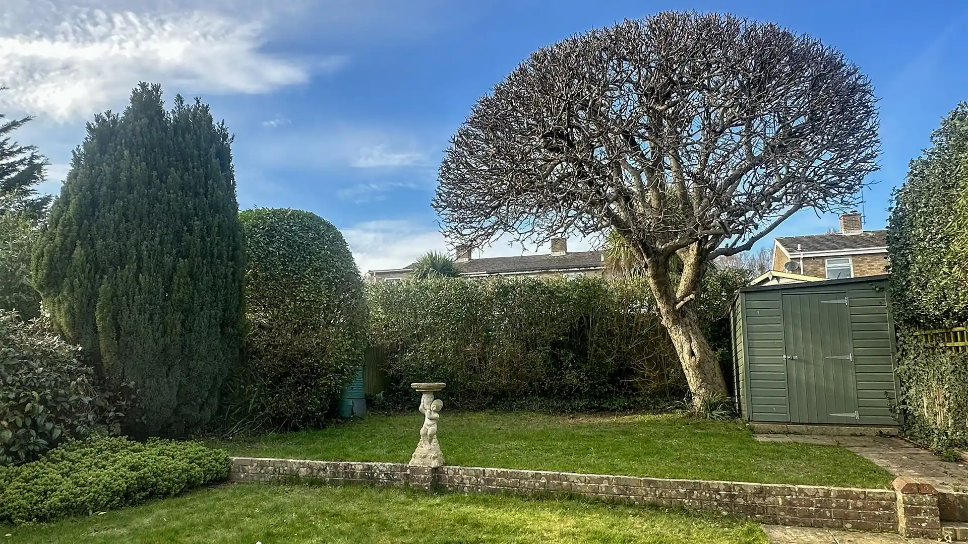 Large shaped tree in a residential garden maintained by Testers Tree Surgeons