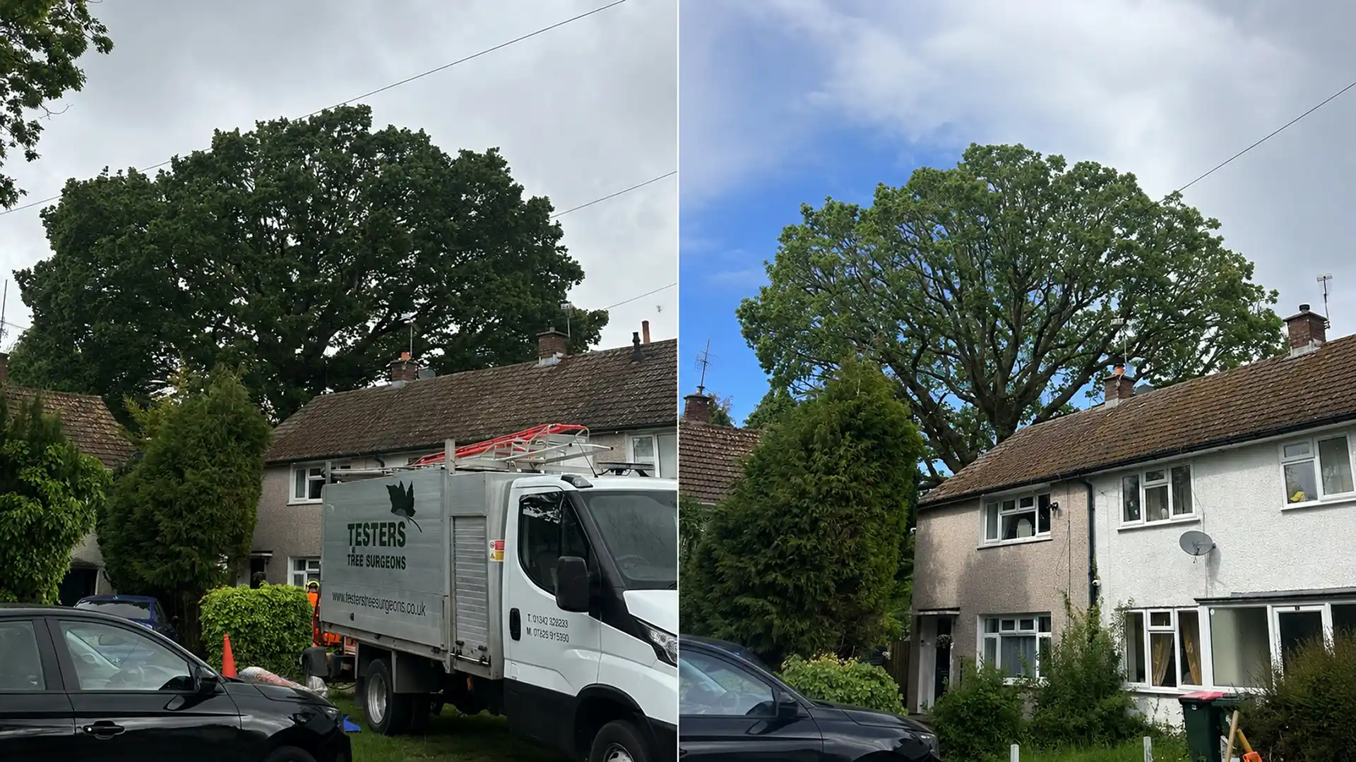 Before and after image of a large tree beside a house on a cloudy and partly sunny day.