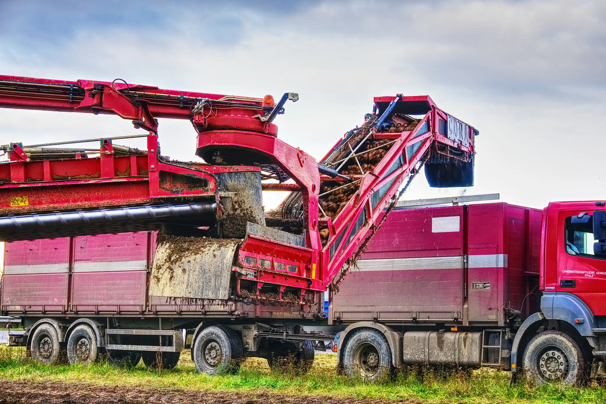 Truck collecting harvested sugar beet at the edge of a field