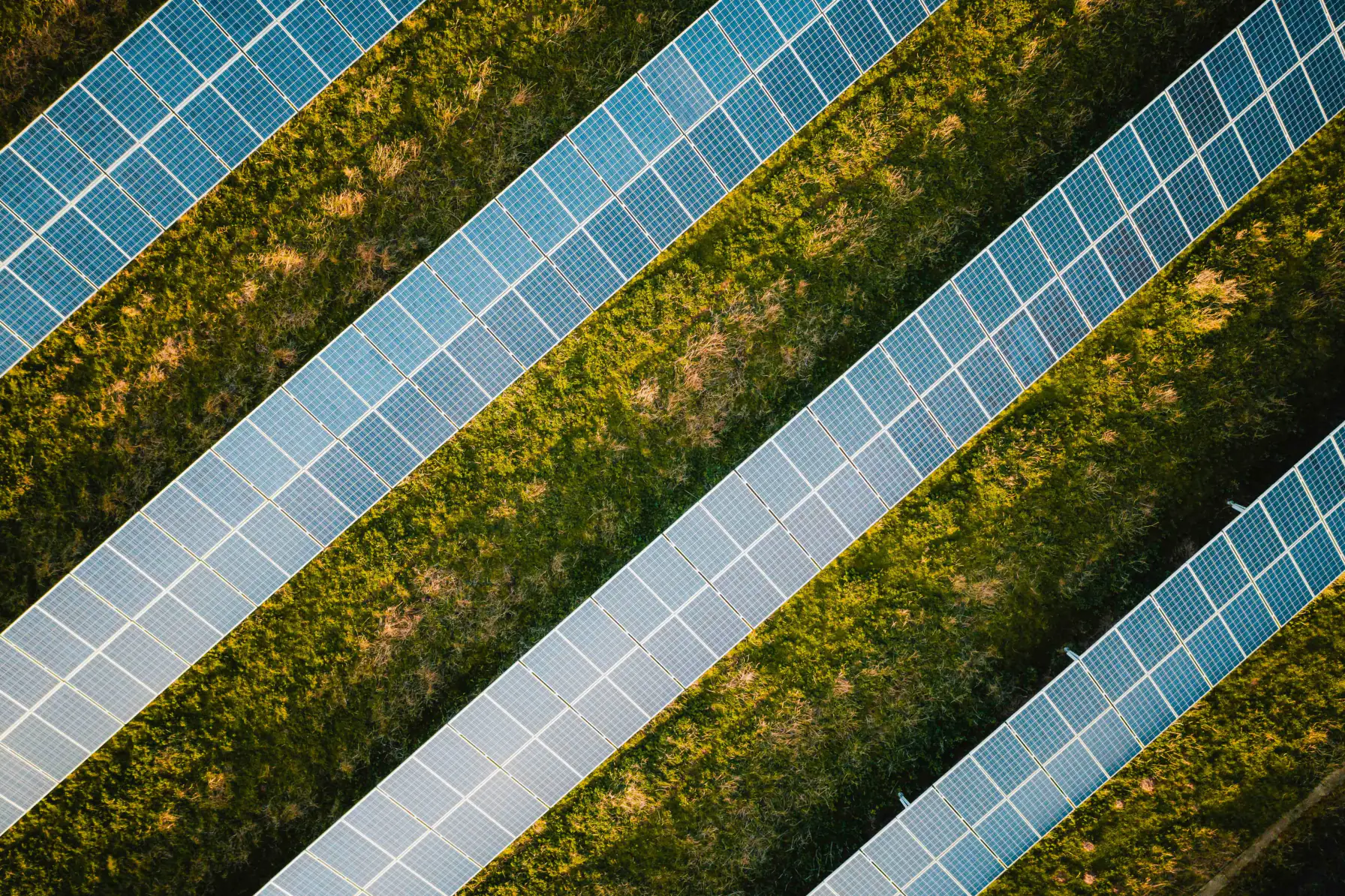Aerial view of solar panel rows beside cultivated fields