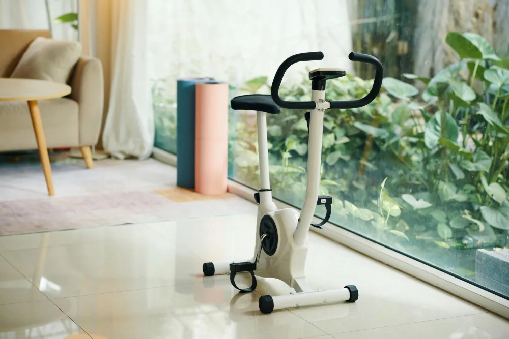 Exercise Bike in a Home Gym