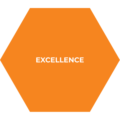 Orange hexagon with the word Excellence in white, bold letters centered inside.