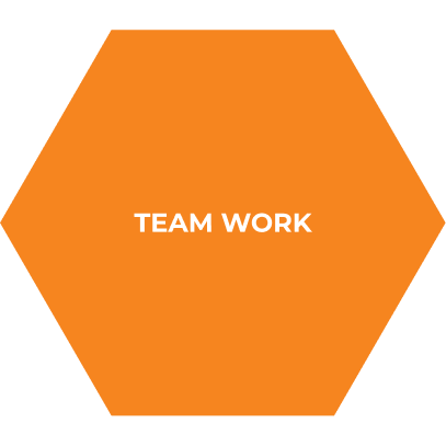 Orange hexagon with white text 'TEAM WORK' centered inside.