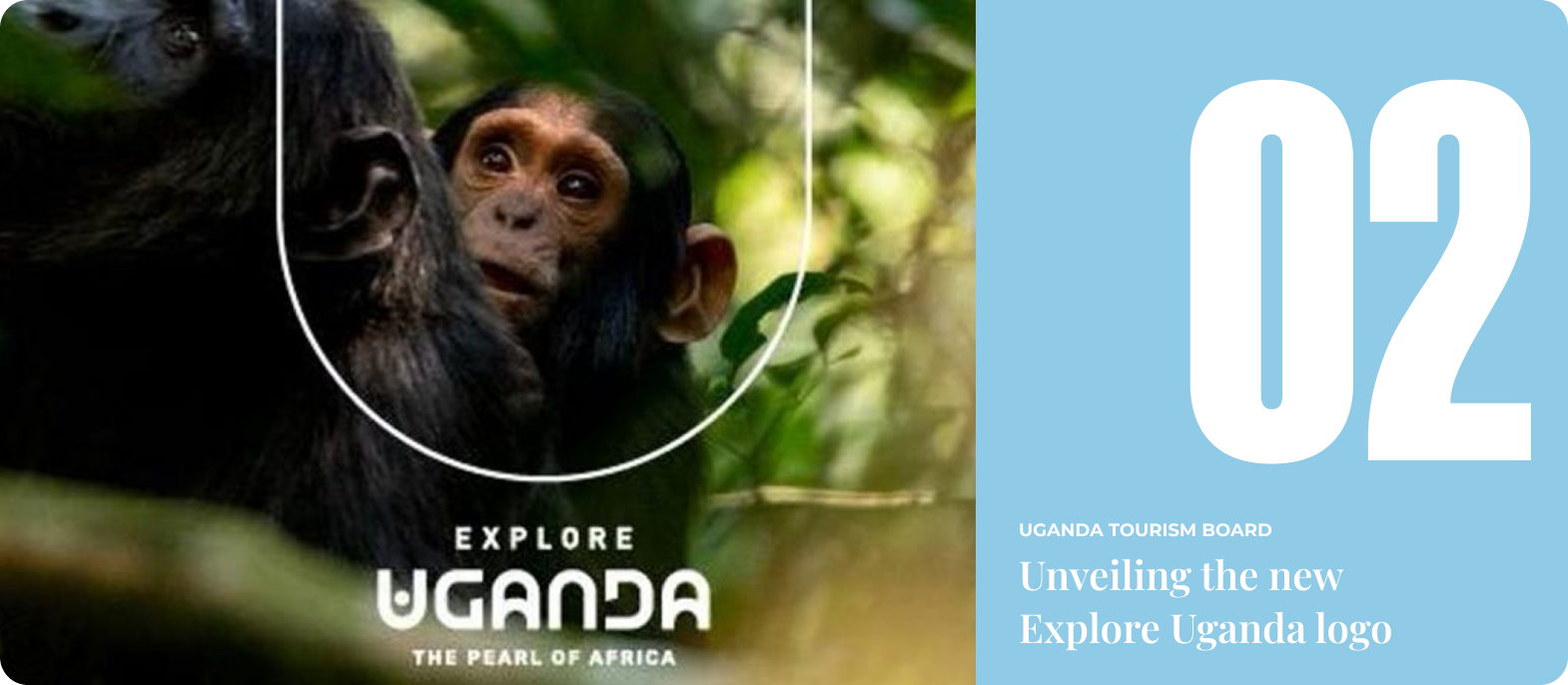 Close-up of two chimpanzees in dense green forest with text 'Explore Uganda: The Pearl of Africa' promoting Uganda tourism.