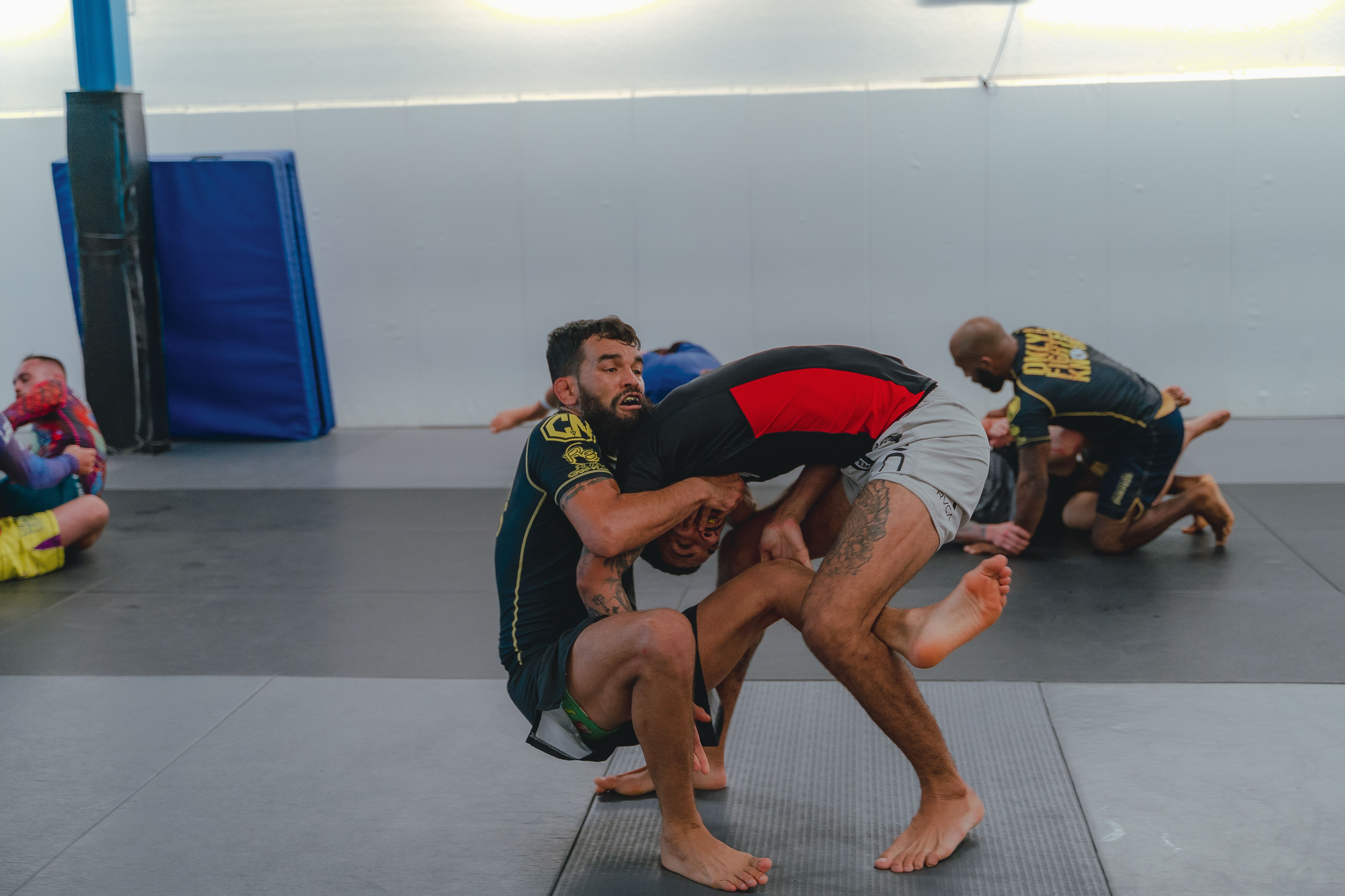 5 BJJ Positions Every Beginner Must Learn First