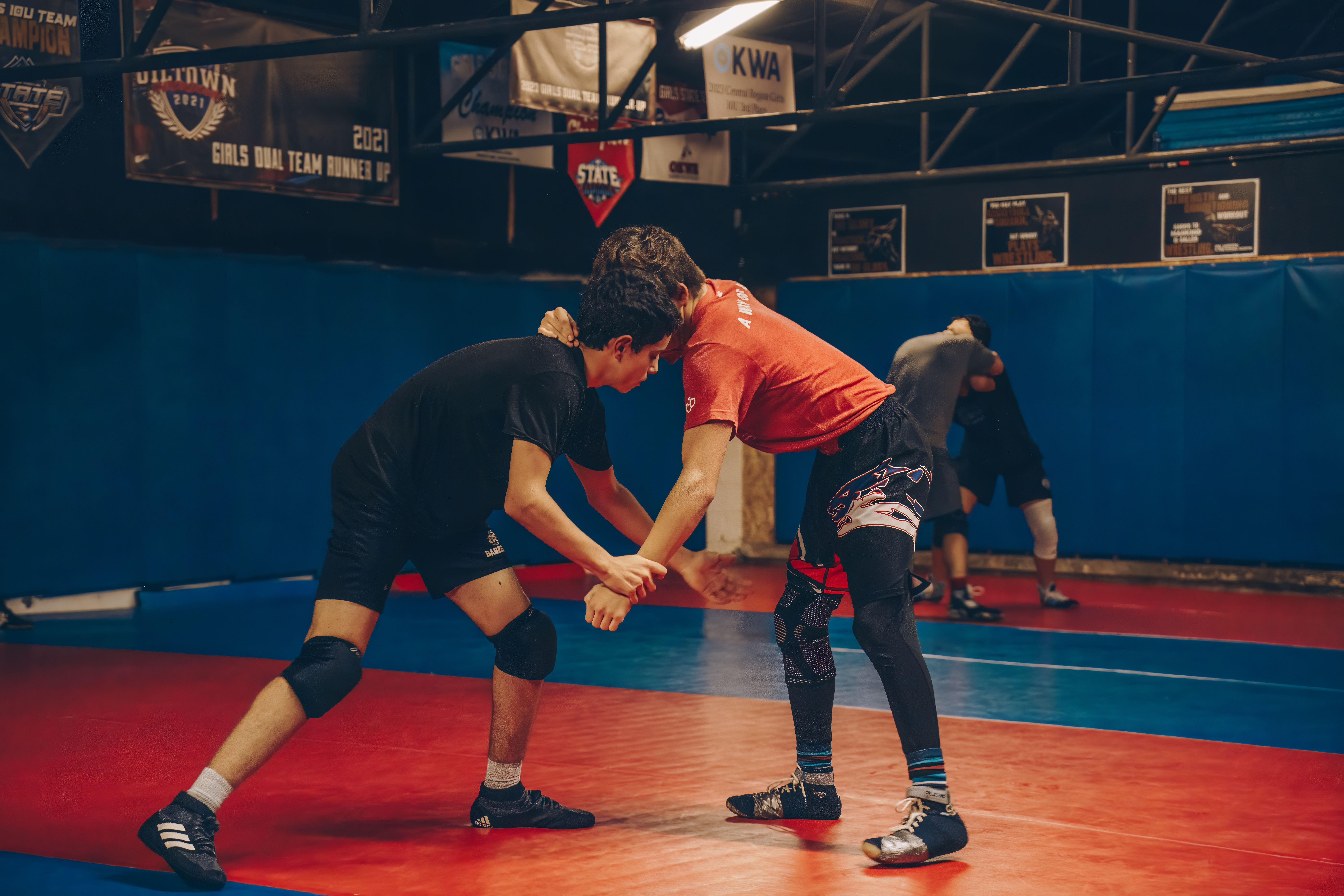 What Is a BJJ Belt System? A Beginner's Guide for Venice, CA Students