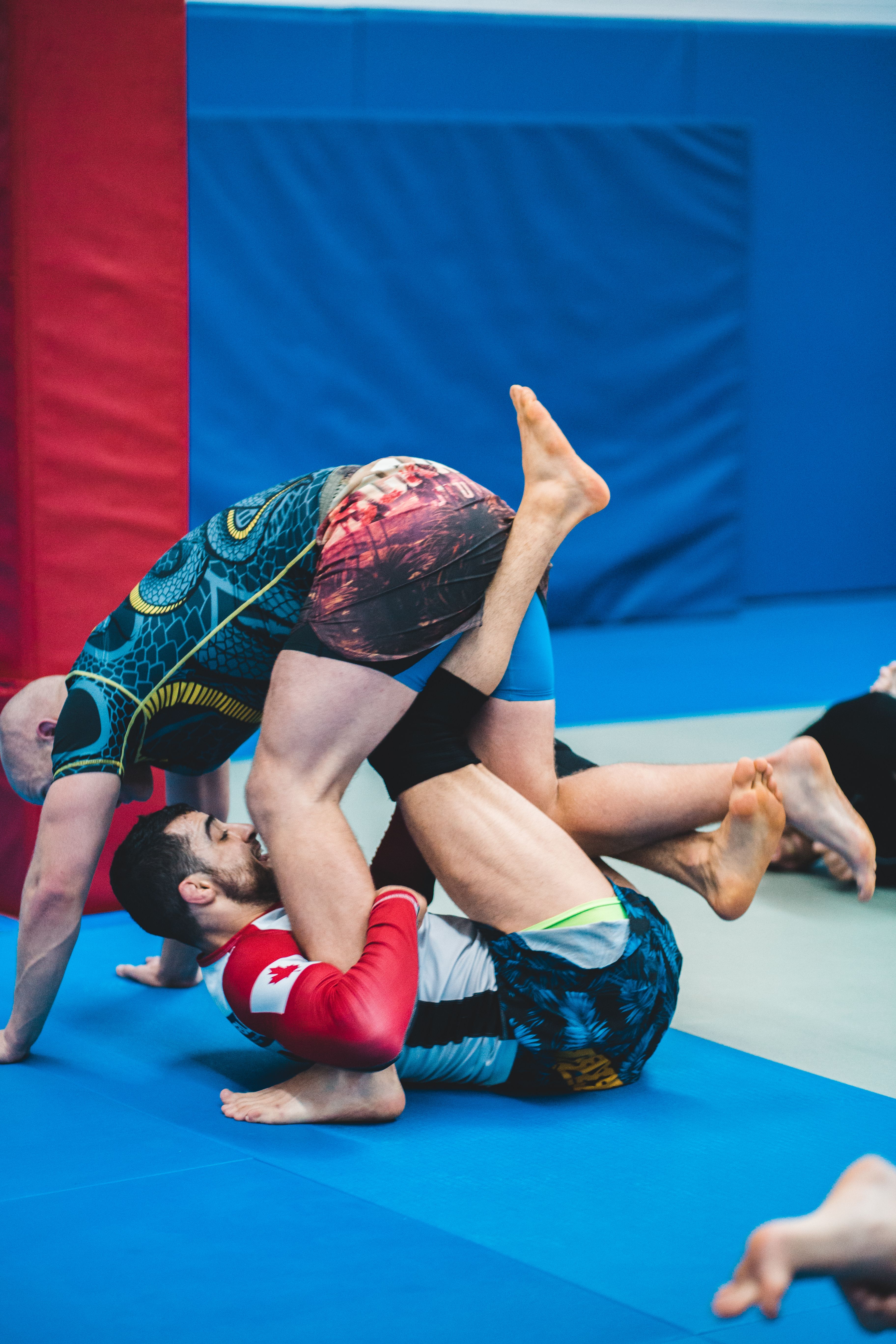 BJJ Near Santa Monica, CA — Why Kaizen Academy in Venice Is Worth the Drive