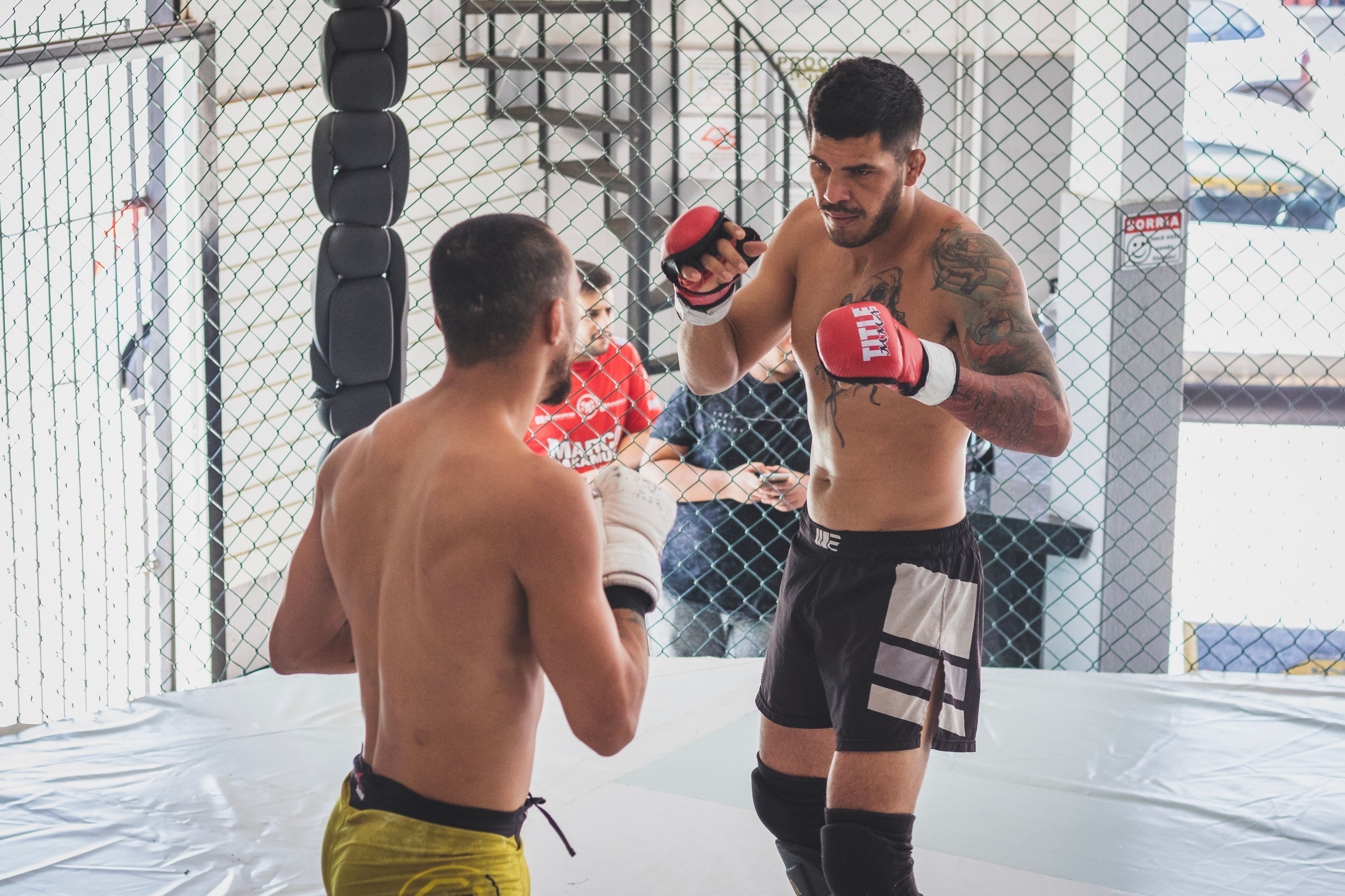 BJJ for Adults Over 30 in Venice CA | Is It Too Late to Start?