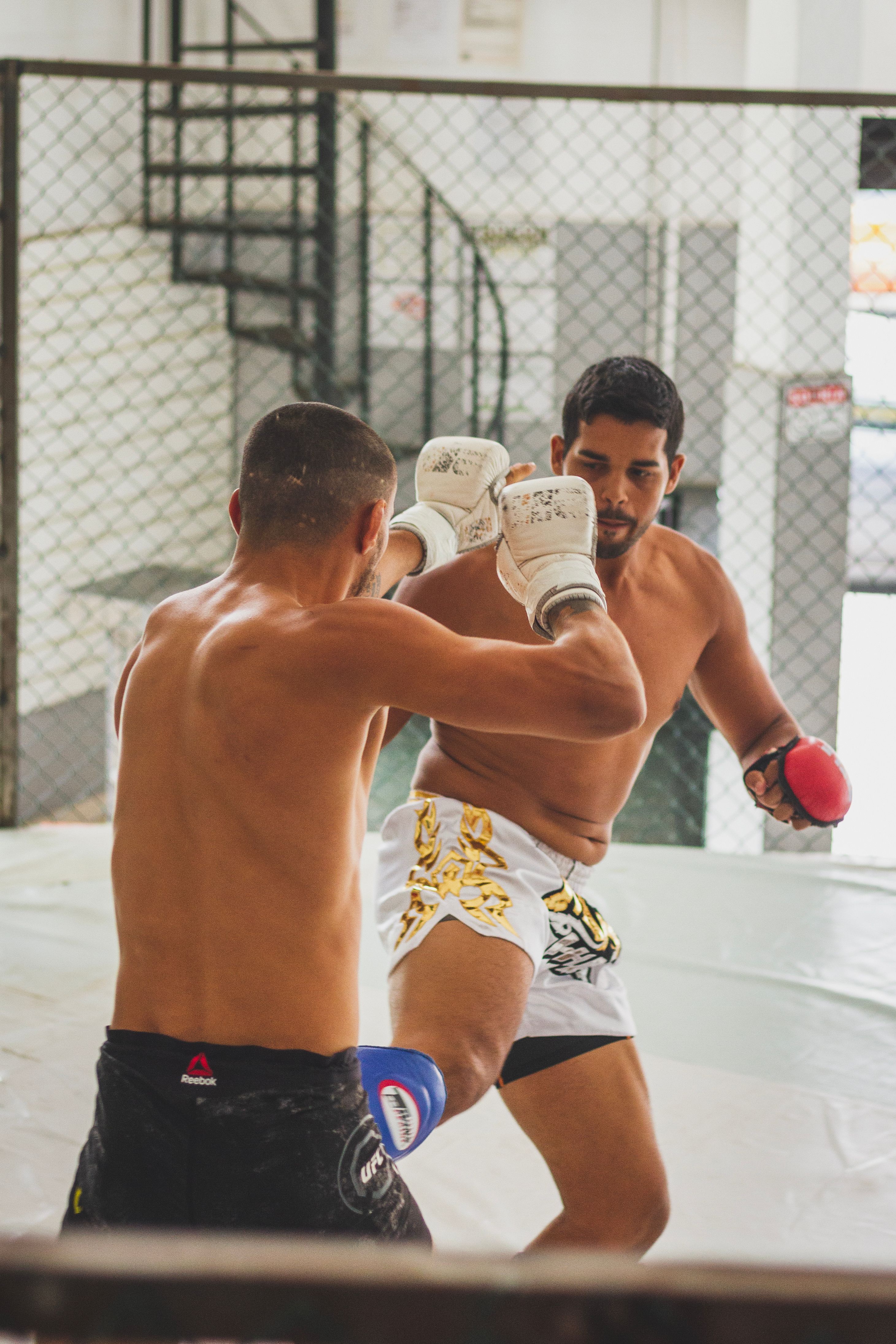 How to Find the Best BJJ Gym Near You on the Westside of LA