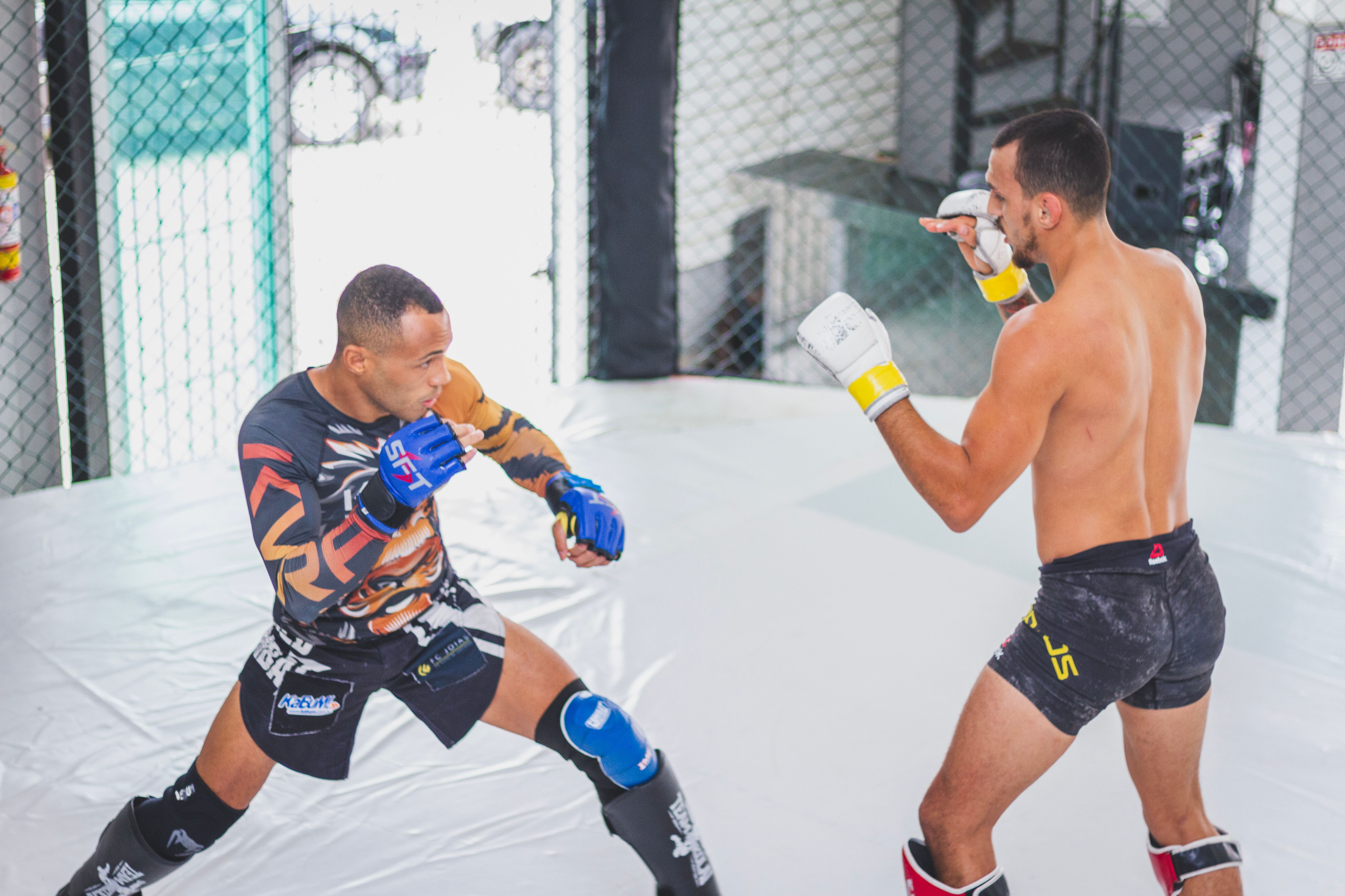 What to Expect at Your First BJJ Class in Venice, CA