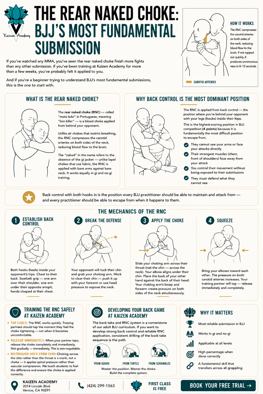 What Is a Rear Naked Choke? A Beginner's Complete Guide