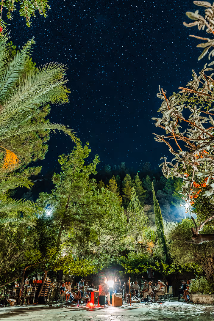 מופע מוזיקה לילה תחת כיפת שמיים זרועי כוכבים עם קהל יושב בין עצים ירוקים.