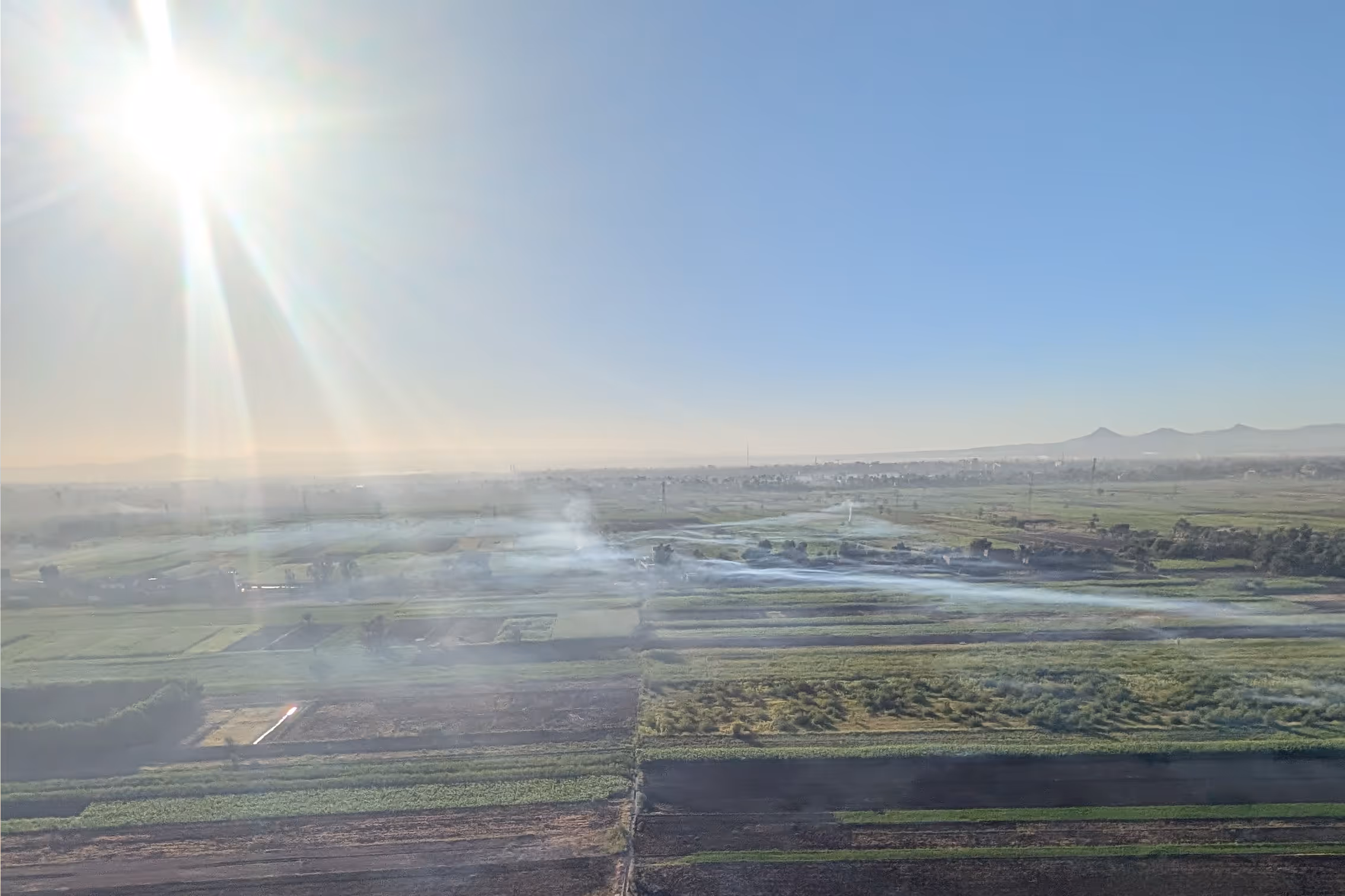 Luxor Westbank Farmlands at Sunrise