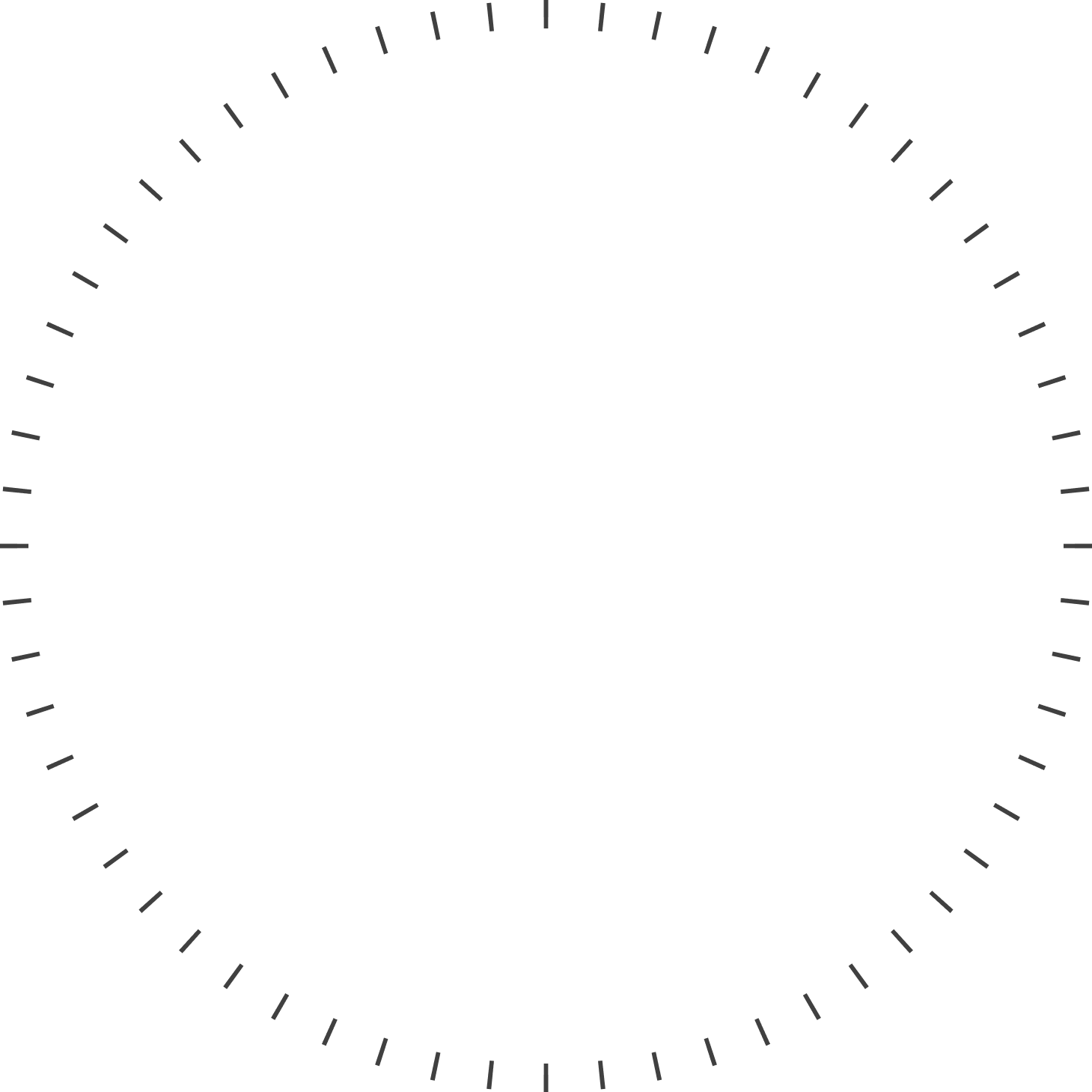 Thin black circle with evenly spaced short black tick marks around the perimeter on a transparent background.