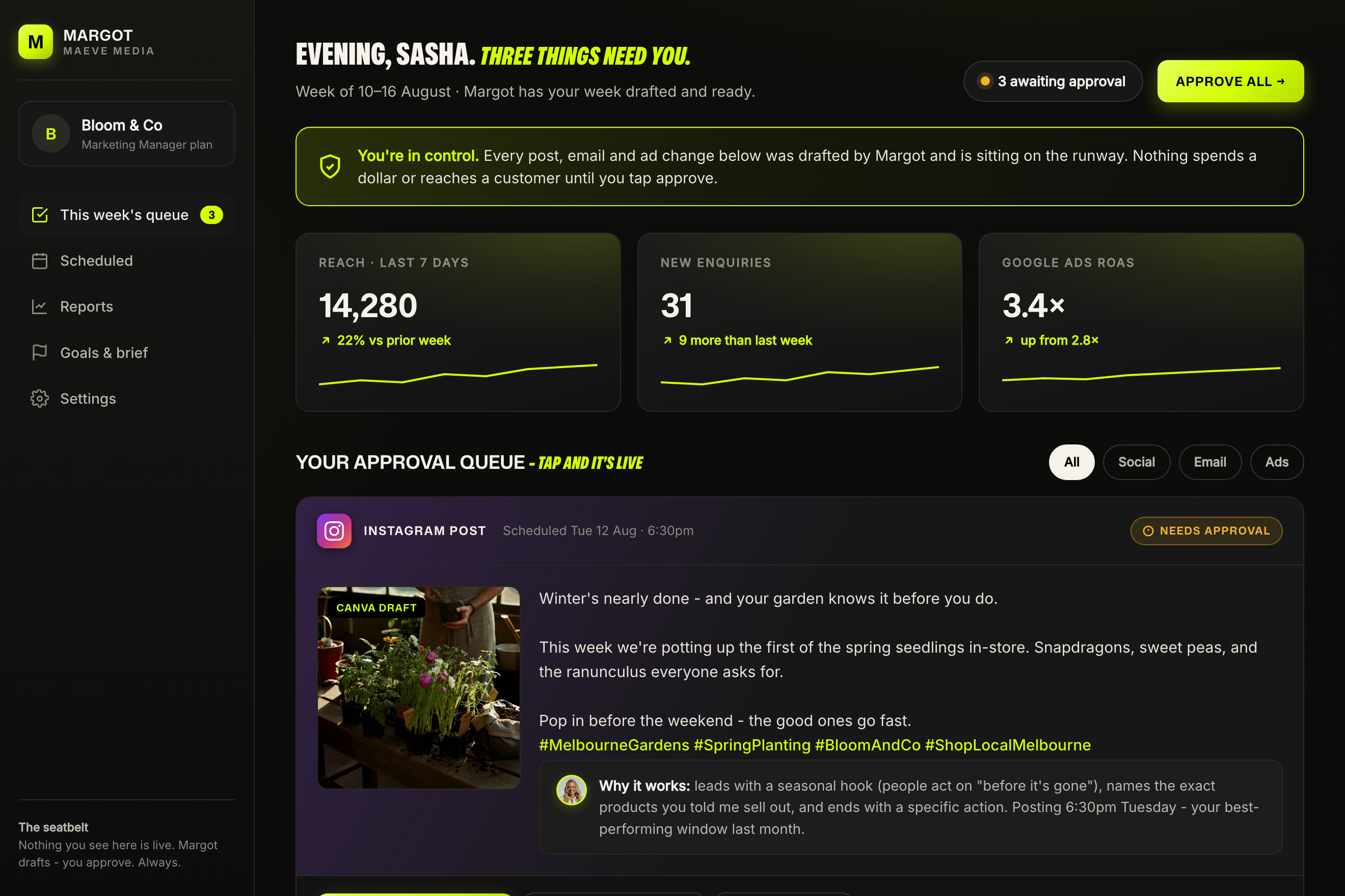 Rachelle client approval dashboard - the week drafted and waiting for approval