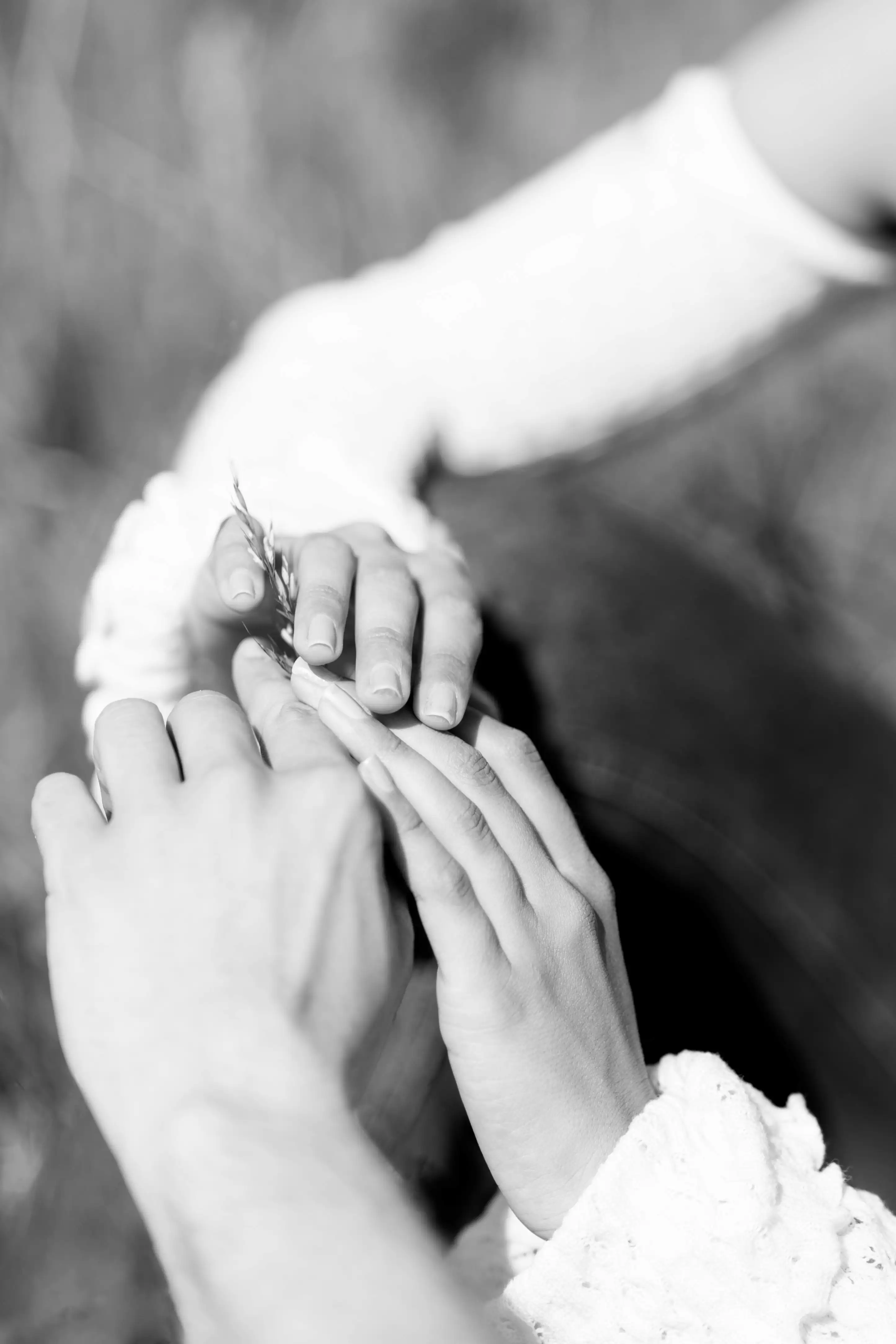 A black and white close-up shows a man and woman's hands gently touching, with the woman holding a small piece of grass. She wears a textured long sleeve.