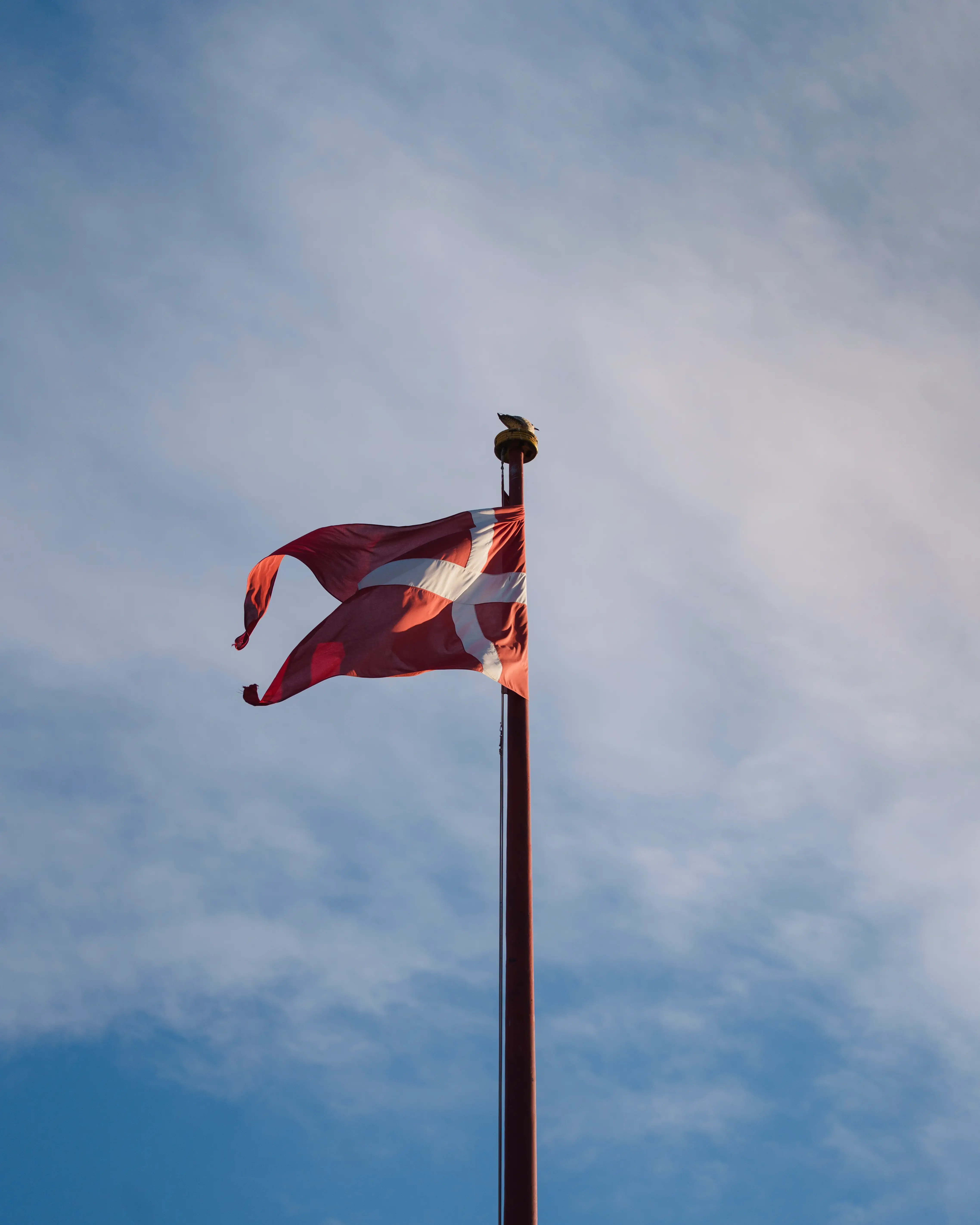 A Danish flag on a flagpole with a cloudy sky in the background