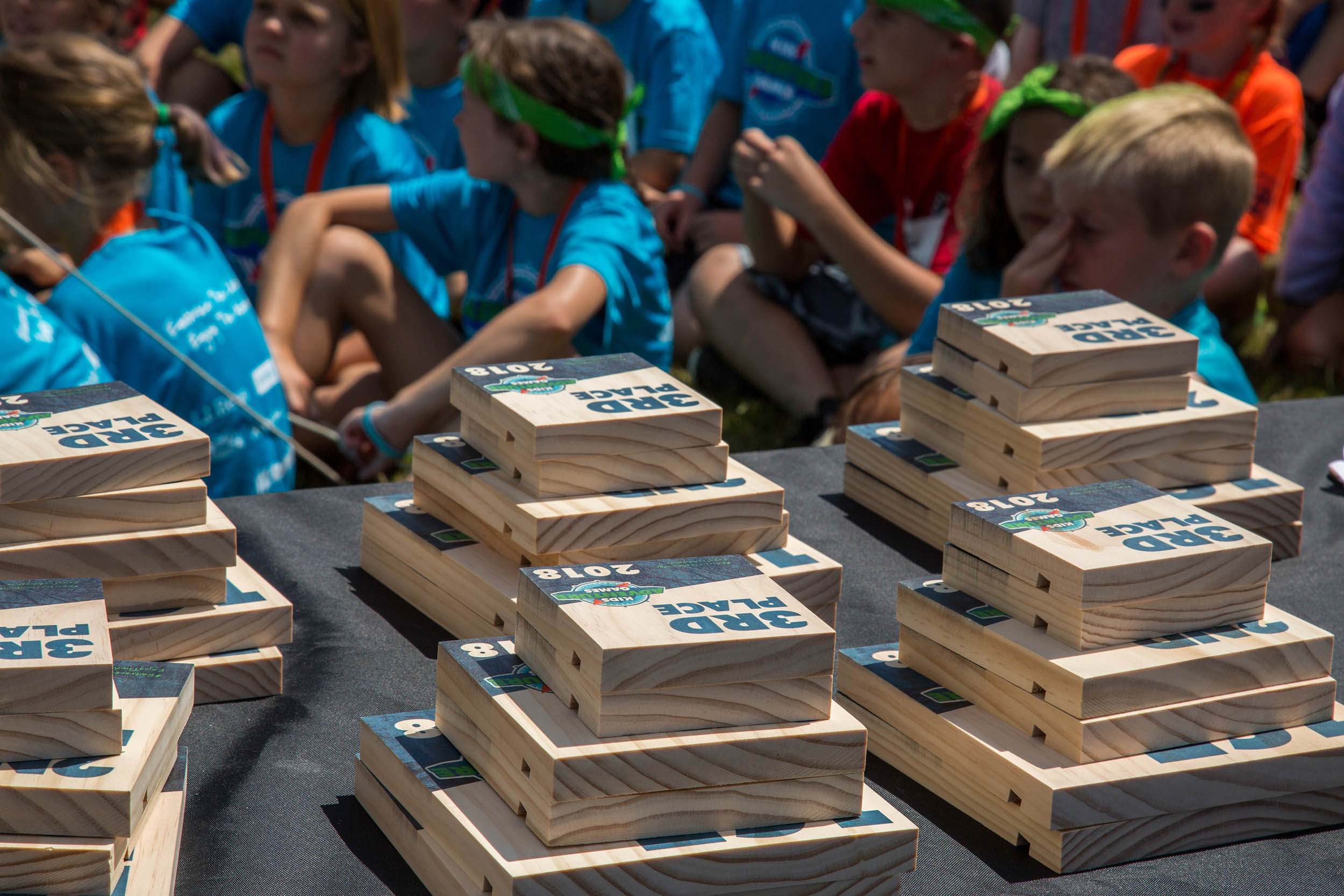 Environmental Stewards Award Kids Adventure Games