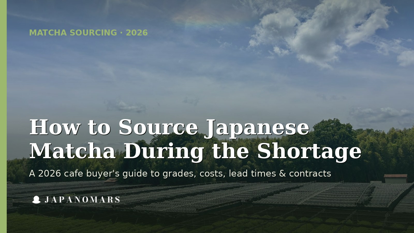 Japanese matcha sourcing during the shortage