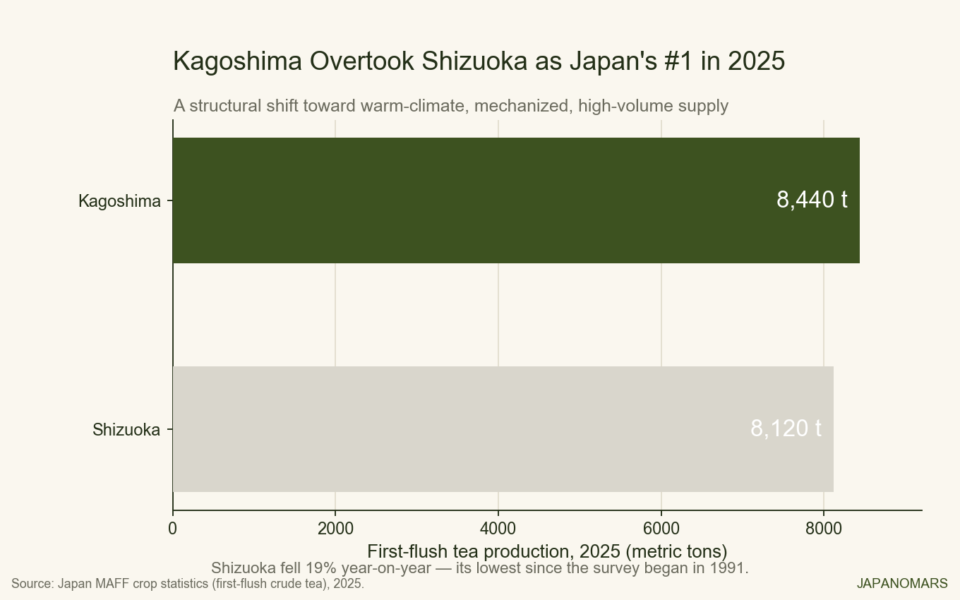 Bar chart: Kagoshima 8,440 tons versus Shizuoka 8,120 tons first-flush tea in 2025.