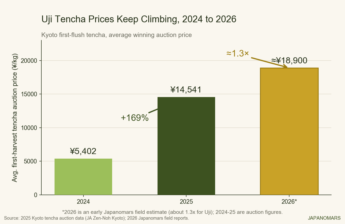 Bar chart of Uji tencha auction average price rising from 5,402 yen per kilogram in 2024 to 14,541 yen in 2025.
