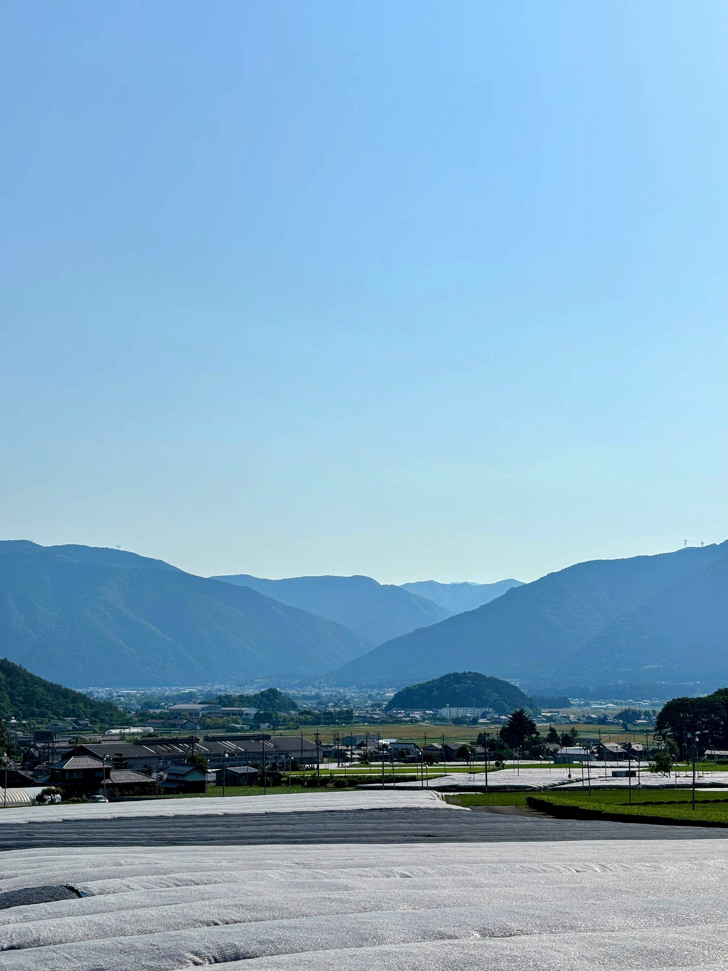 Tea fields under white shading sheets with mountain ranges receding into the distance.