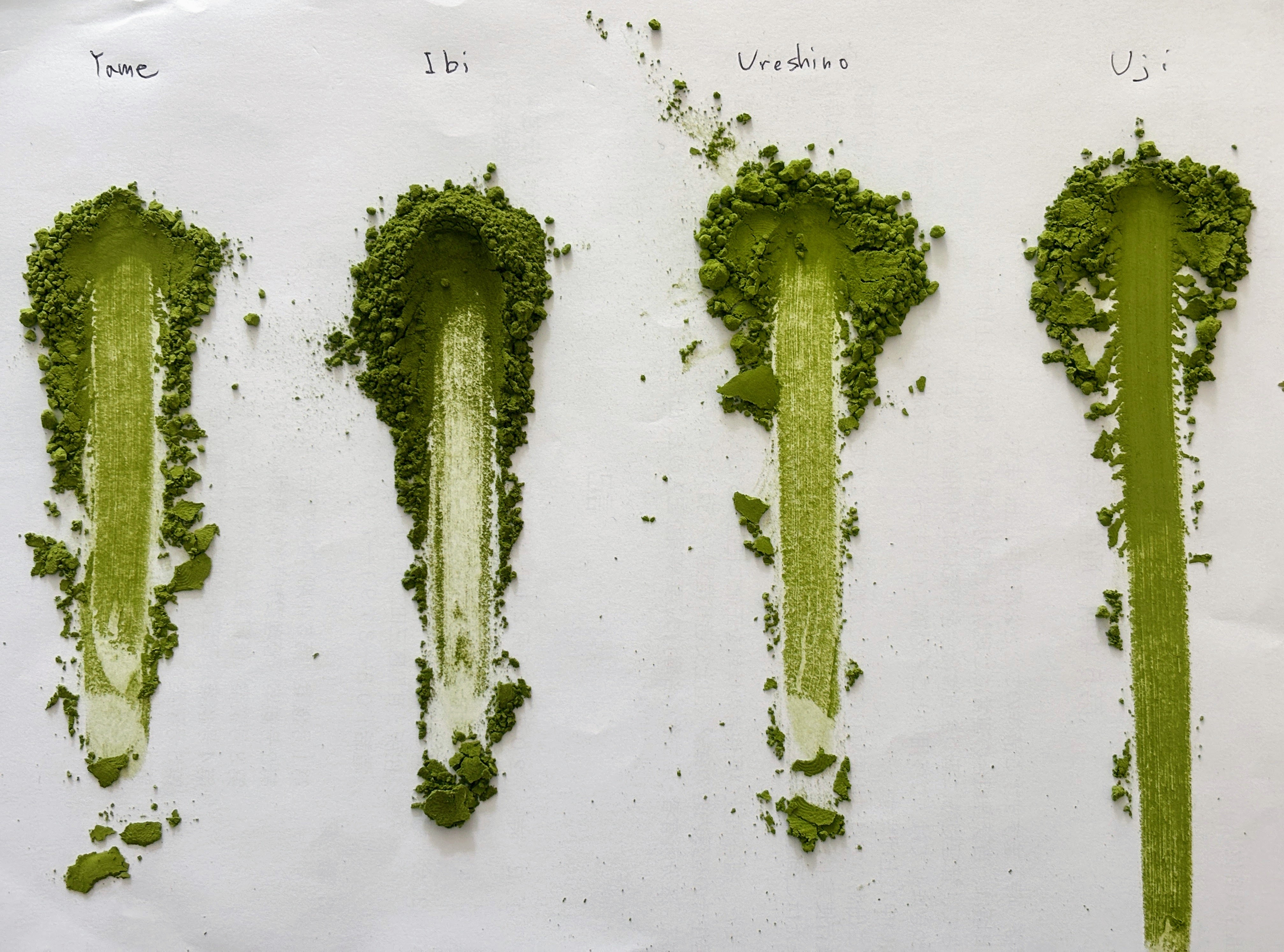 Matcha from Yame, Ibi, Ureshino, and Uji smeared side by side on paper to compare the colour of each origin.