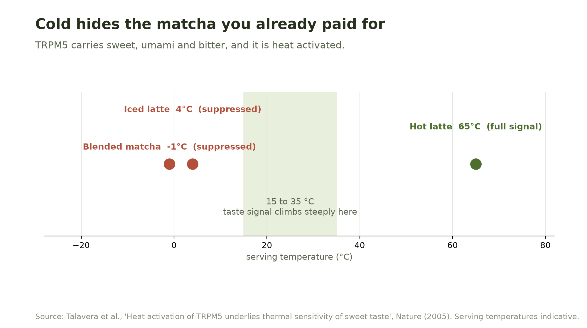 Serving temperature scale showing blended matcha at -1C and iced latte at 4C below the 15 to 35C band where the TRPM5 taste signal climbs steeply, with a hot latte at 65C above it.