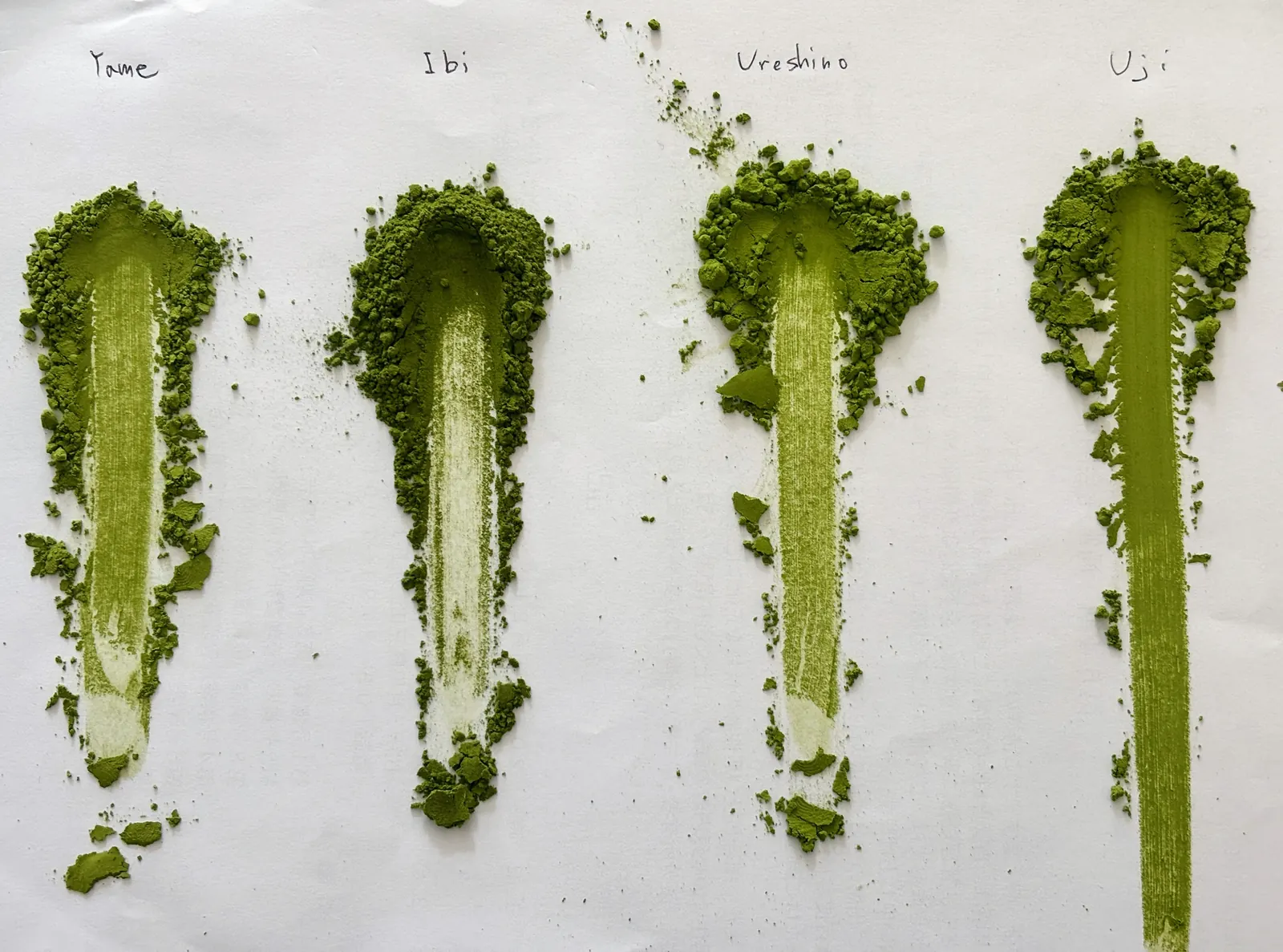 Matcha from Yame, Ibi, Ureshino, and Uji smeared side by side on paper to compare the colour of each origin.