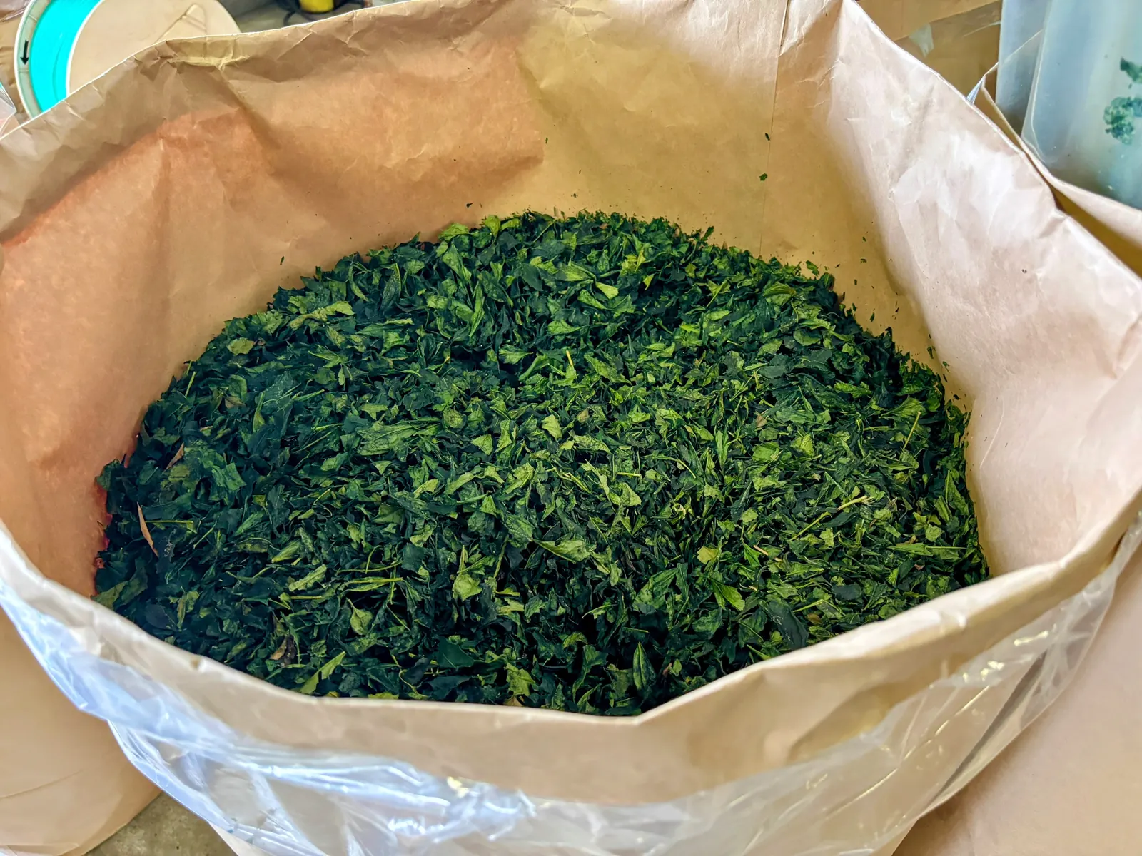 Wholesale and bulk matcha for cafes