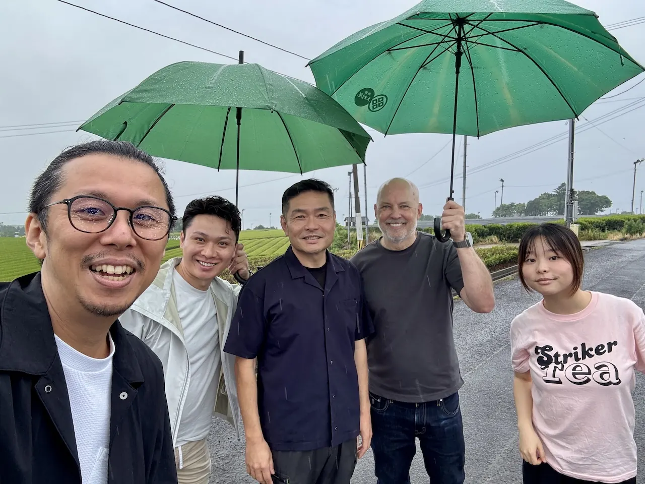 Group of cafe buyers and hosts under umbrellas beside a Japanese tea field on a rainy sourcing visit.